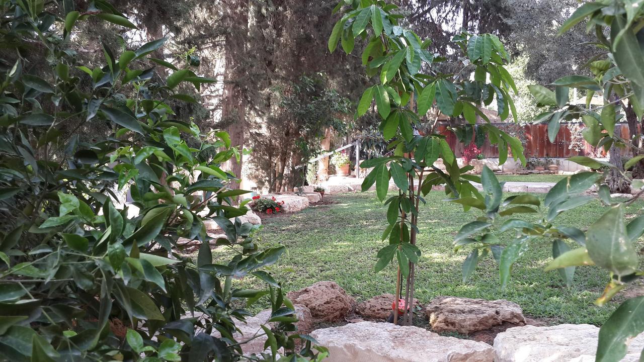 Lisa's Farm Place Ришон-ле-Цион
